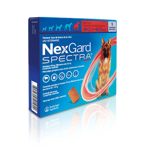 Nexgard Spectra